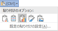 Wordの [貼り付けオプション] ボタンが展開され、オプションが表示されます。