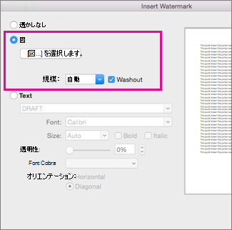 [図] オプションの周囲に吹き出しがある [透かしの挿入] ダイアログ ボックス