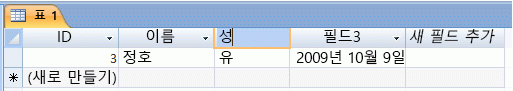 액세스 테이블에 새 필드 이름 입력
