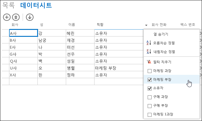 데이터시트의 직함 열의 필터 옵션