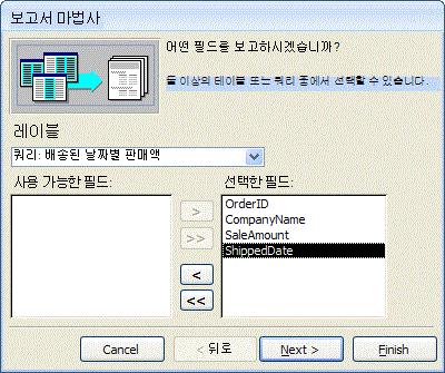 보고서 마법사에서 필드 선택