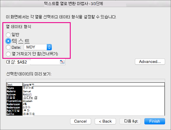 마법사의 3단계에서 텍스트 옵션이 선택됨