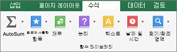 수식 탭에서 텍스트를 클릭합니다.