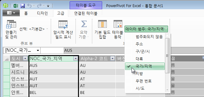 PowerPivot의 데이터 범주