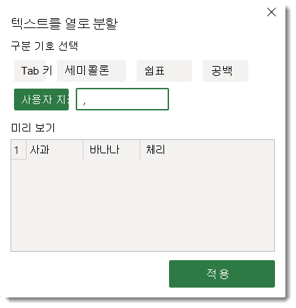 텍스트를 열로 분할 옵션