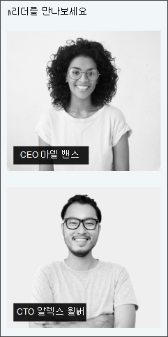리더십 사이트 템플릿의 피플 프로필 웹 파트 이미지