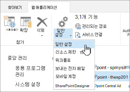 일반 설정을 선택한 리본 구역 관리