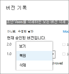 버전 항목 메뉴