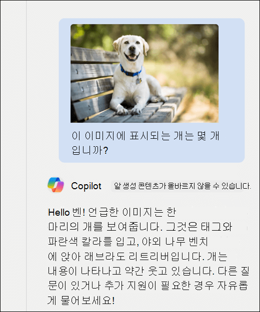코필로트의 스크린샷. 이 이미지에 몇 마리의 개가 표시되는지 묻는 메시지와 함께 강아지의 이미지가 붙여넣어졌습니다. Copilot는 정확하게 응답하고 이미지에 대한 추가 설명을 제공했습니다.
