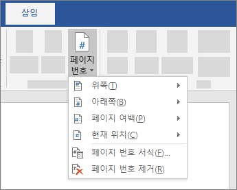 페이지 번호 삽입