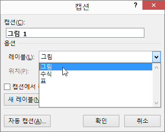 캡션 대화 상자를 사용하여 그림, 표 또는 수식 캡션에 대한 옵션을 설정합니다.