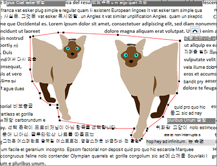 편집되지 않은 래핑 지점