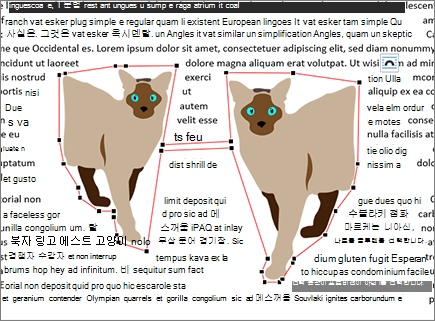 이동된 래핑 지점 편집