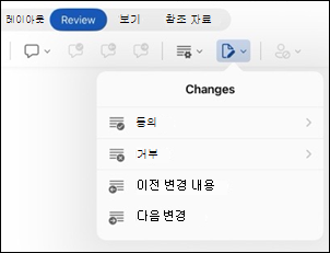iPad용 Word 변경 내용 검토 옵션