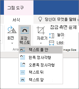 텍스트 배치 옵션
