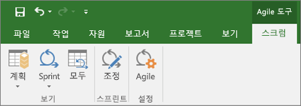 Agile 도구 탭을 보여주는 Project 리본의 스크린샷