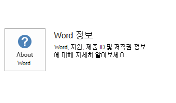 Word MSI에 대한 스크린샷