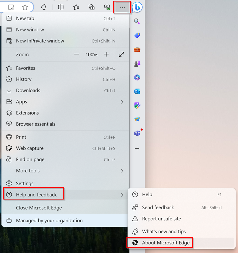Microsoft Edge가 최신 버전으로 업데이트되도록 설정