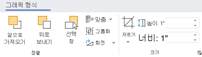 그래픽 형식 탭의 옵션은 이미지를 사용자 지정하는 데 도움이 됩니다.