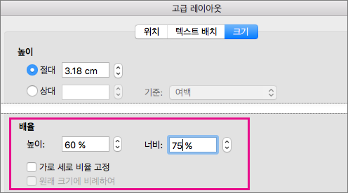 고급 레이아웃 상자의 크기 탭에서 강조 표시된 배율 옵션