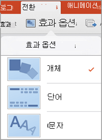 효과 옵션