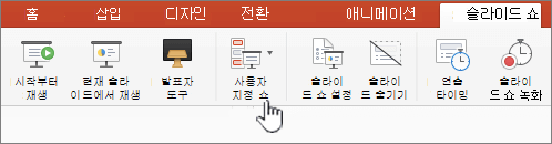 사용자 지정 쇼 재생 단추