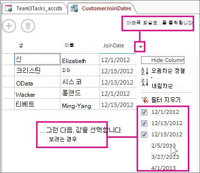 Access 앱에서 쿼리 열 필터링