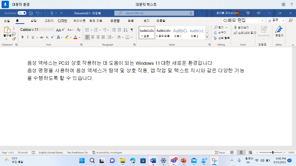 음성 액세스 명령 대문자를 보여 주는 Word 문서입니다.