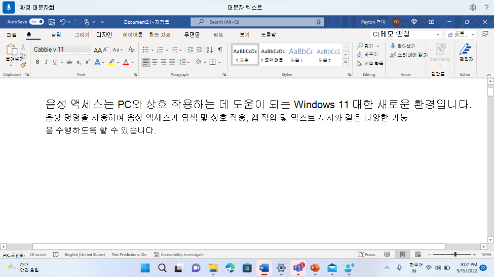 음성 액세스 명령 대문자 표시를 보여 주는 Word 문서입니다.