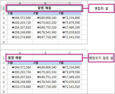 셀 분할 전후