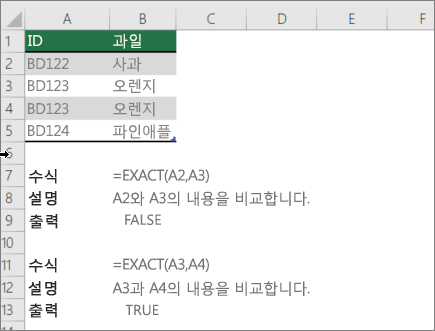 EXACT 함수를 사용하여 한 셀을 다른 셀과 비교하는 예제