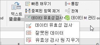 데이터 유효성 검사 메뉴