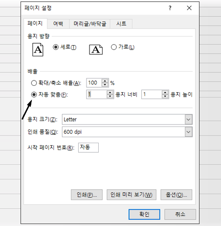 페이지 설정 대화 상자에서 맞춤 옵션을 정의합니다.