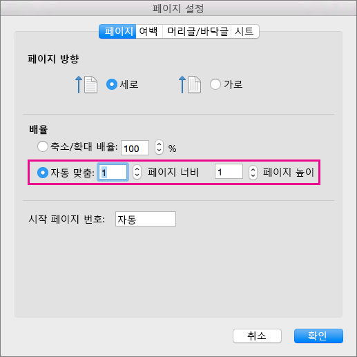 자동 맞춤이 선택된 페이지 설정 대화 상자