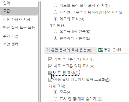 Excel 옵션에서 시트 탭 표시
