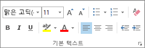 기본 텍스트 그룹의 옵션