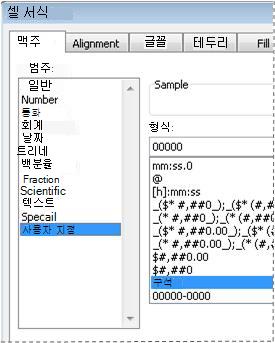 셀 서식 대화 상자의 사용자 지정 범주
