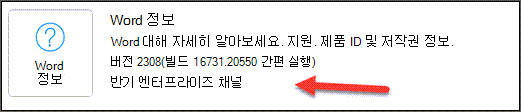 제품 정보 섹션의 Word 정보 영역에 있는 반기 기업 채널 표시.