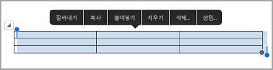 iPad 테이블 명령 모음