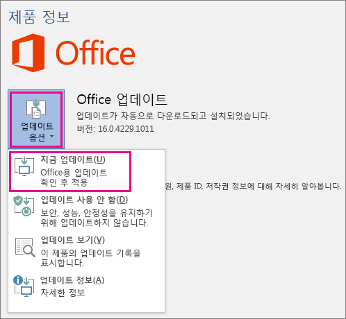 Word 2016에서 수동으로 Office 업데이트 확인