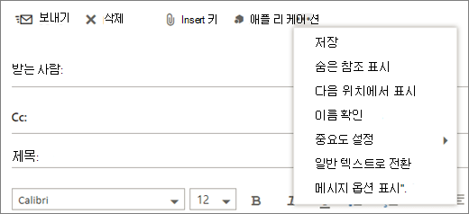 스크린샷은 메일 메시지 도구 모음의 자세히 명령에서 사용할 수 있는 옵션을 보여줍니다.