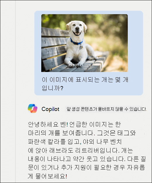 코필로트의 스크린샷. 이 이미지에 몇 마리의 개가 표시되는지 묻는 메시지와 함께 강아지의 이미지가 붙여넣어졌습니다. Copilot는 정확하게 응답하고 이미지에 대한 추가 설명을 제공했습니다.