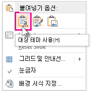 Paste Options: 대상 테마 사용