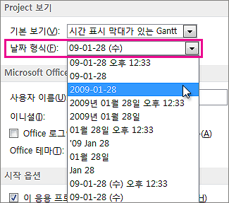 Project 옵션 대화 상자의 날짜 형식 목록