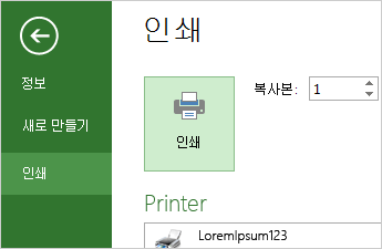 인쇄 단추와 배경에 표시된 인쇄 옵션