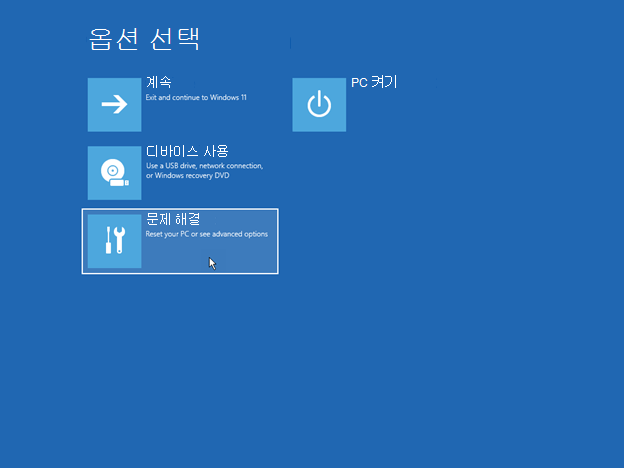 옵션 선택