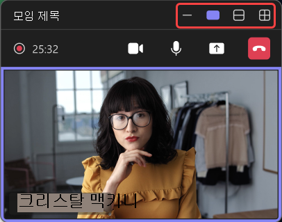 최소화된 모임 창의 여러 보기를 강조 표시한 스크린샷