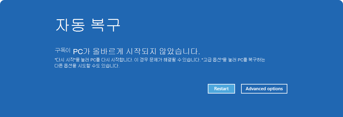 자동 복구 옵션의 스크린샷