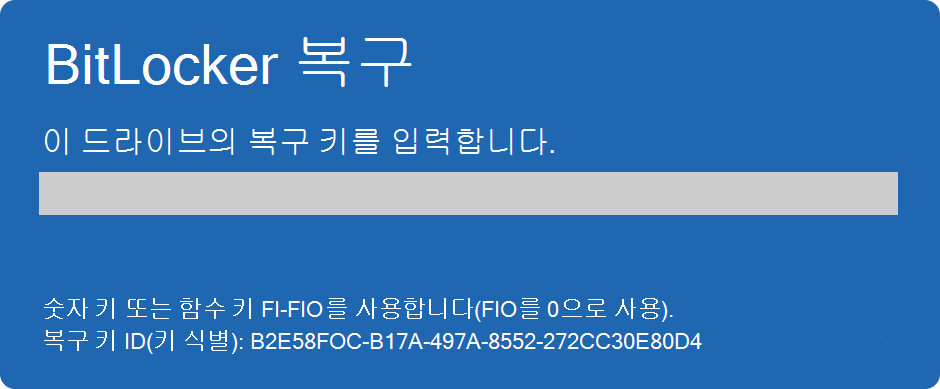 BitLocker 복구 화면의 스크린샷