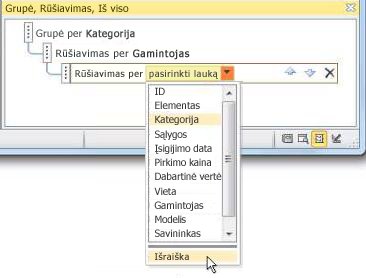 Išraiškos parinkties pasirinkimas srityje Grupavimas, rūšiavimas ir suma.